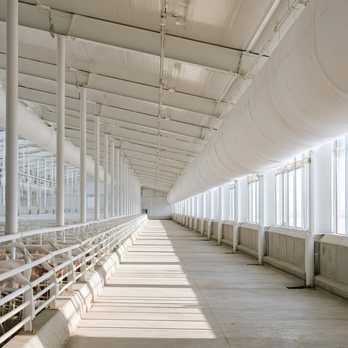 Swine & Livestock Farm Ventilation.jpg