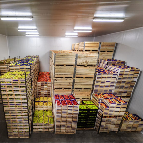 Unit Coolers in Frozen Food Warehouses.jpg