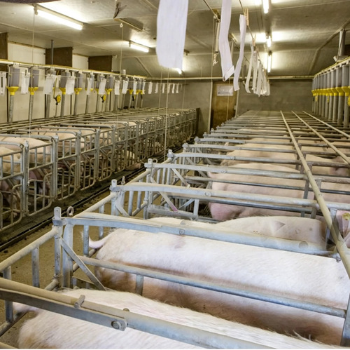 Swine & Livestock Farm Ventilation.jpg